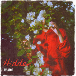 Hidden