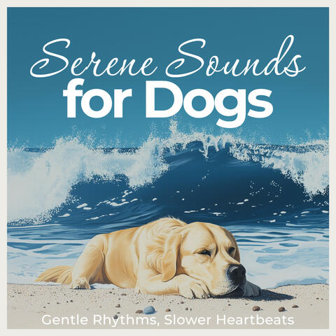 Serene Sounds for Dogs – Gentle Rhythms, Slower Heartbeats