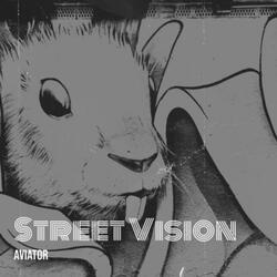 Street Vision