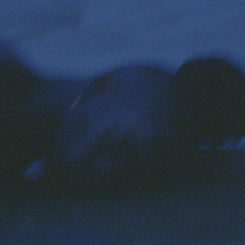 Runaway