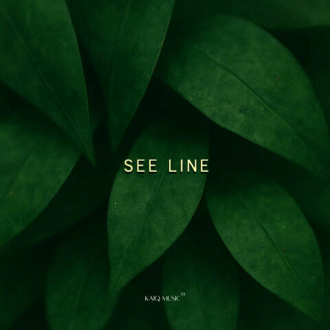 See Line EP