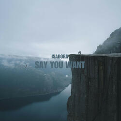Say You Want