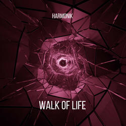 Walk Of Life
