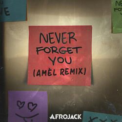 Never Forget You