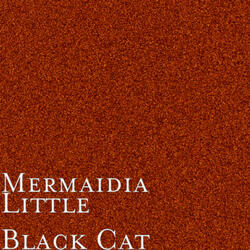 Little Black Cat