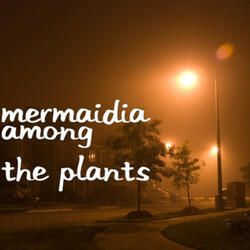 Among The Plants
