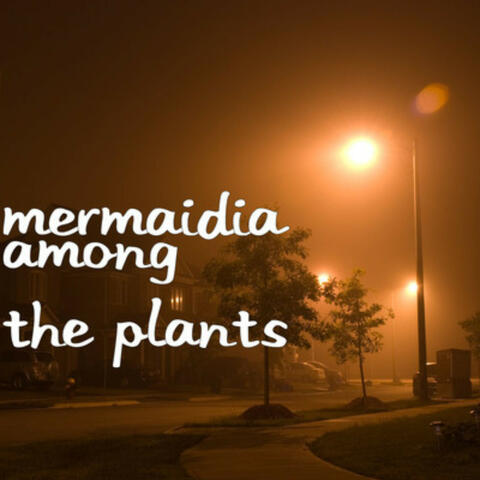 Among The Plants