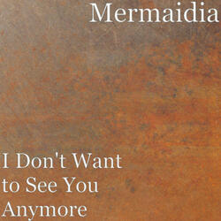 I Don't Want To See You Anymore