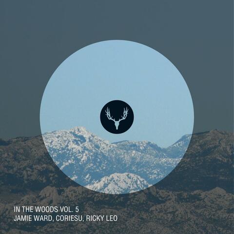In The Woods Vol. 5