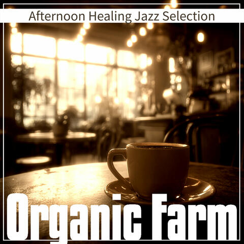 Afternoon Healing Jazz Selection