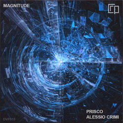Magnitude