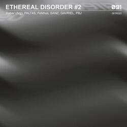 Electromagnetic Soul