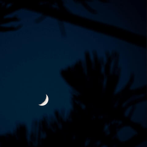 Chillout Nights (Lo-Fi Music Album)