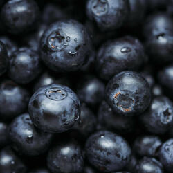 Dreams I Never Woke From