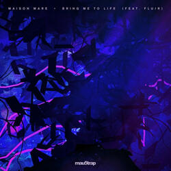 Bring Me To Life (feat. Fluir)