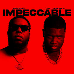 IMPECCABLE (feat. Enphamus)