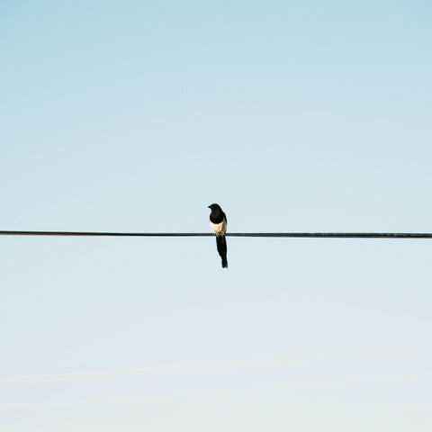 Ambient Drift (Chillout)