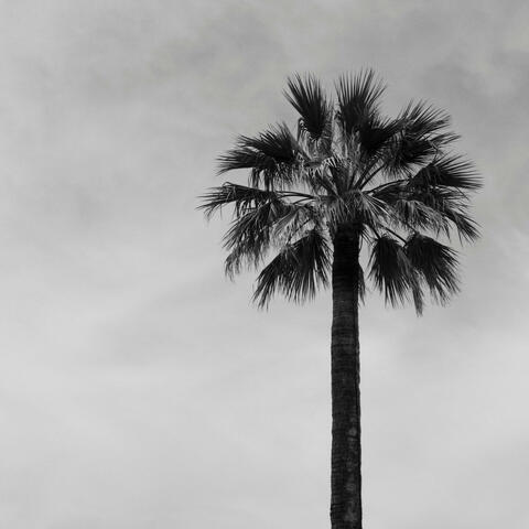 Relax and Float (Chillout)