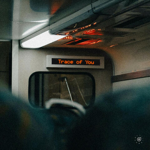 Trace of You