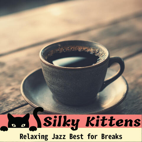 Relaxing Jazz Best for Breaks