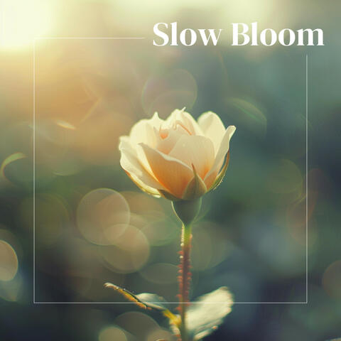 Slow Bloom
