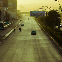 V i v a L a S w i n g