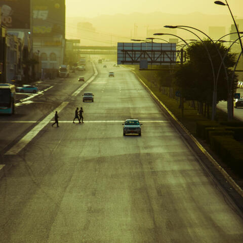 V i v a L a S w i n g