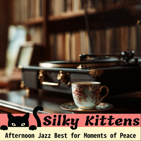 Afternoon Jazz Best for Moments of Peace