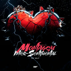 MONTAGEM INTER-SENTIMENTAL