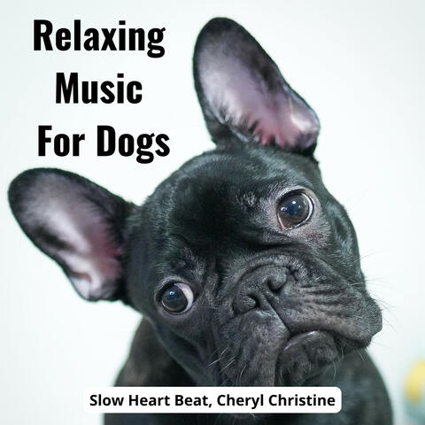 Relaxing Music For Dogs