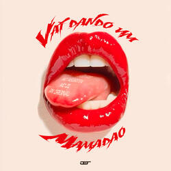 VAI DANDO UM MAMADAO