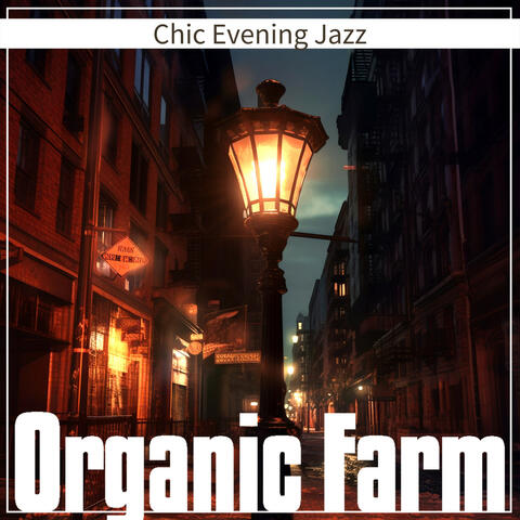 Chic Evening Jazz