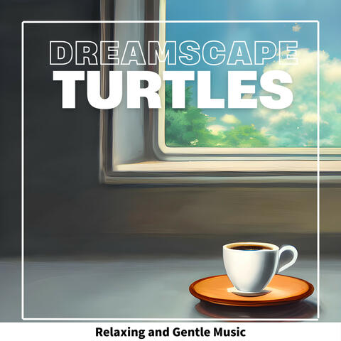Relaxing and Gentle Music