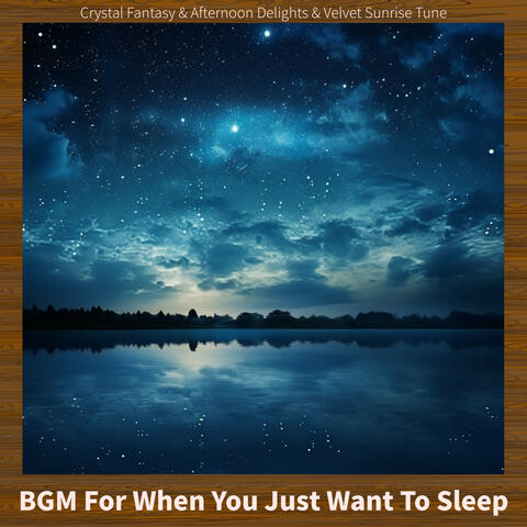BGM For When You Just Want To Sleep