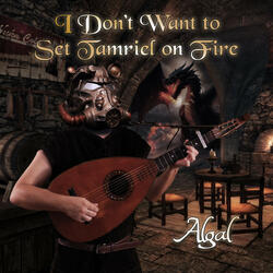 I Don't Want to Set Tamriel on Fire