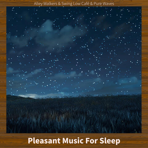 Pleasant Music For Sleep