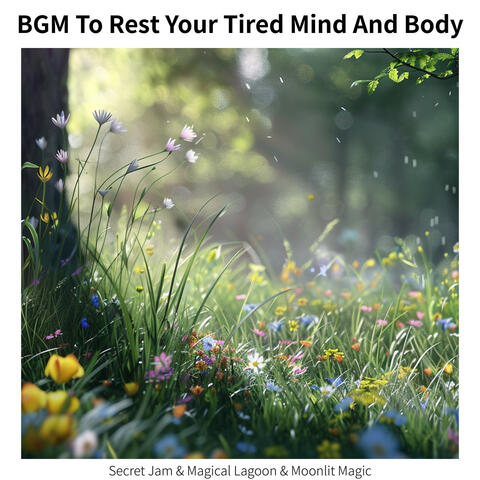 BGM To Rest Your Tired Mind And Body