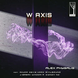 W axis