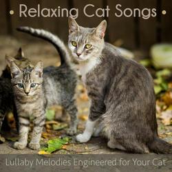 Ultimate Cat Music