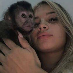 Hesitations Funk (Shiloh) (feat. Shiloh Dynasty)