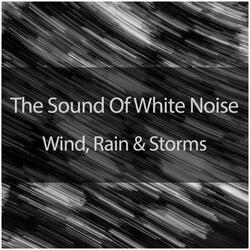 White Noise With Light Rain And A Thunderstorm (Loopable)
