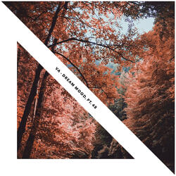 Secventialitatea Hibernala