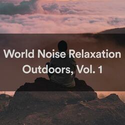 World Noise Relaxation - A Busy Street With Birds (Loopable)