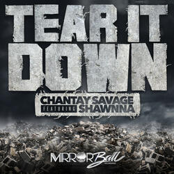 Tear It Down (feat. Shawnna)