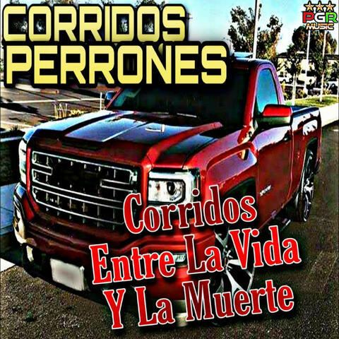 Corridos Entre La Vida Y La Muerte
