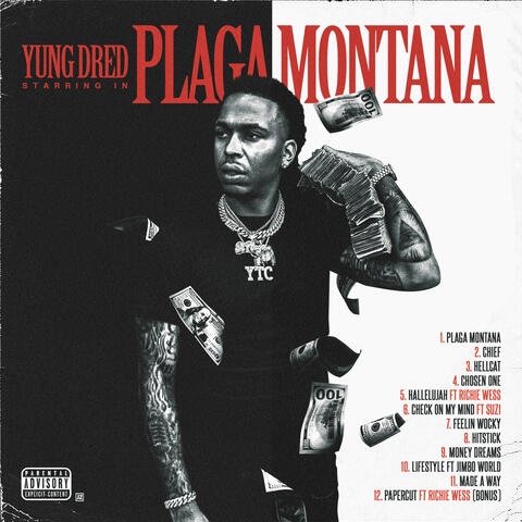Plaga Montana