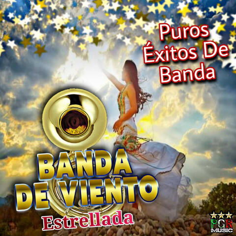 Puros Exitos De Banda