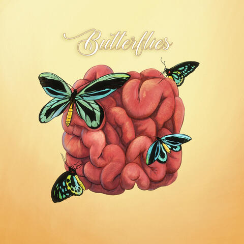 Butterflies