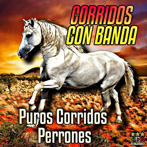 Puros Corridos Perrones
