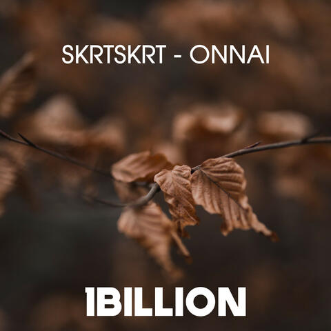Skrtskrt